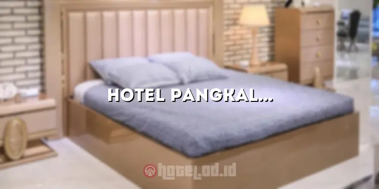 hotel pangkalan bun